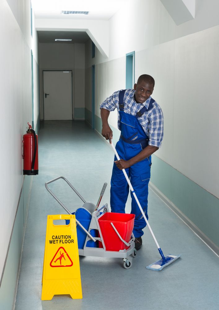 Lupa Cleaning team performing a deep residential cleaning
